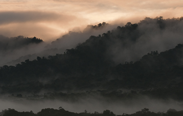 El Chocó Andino, un paraíso para la práctica del ecoturismo en Quito